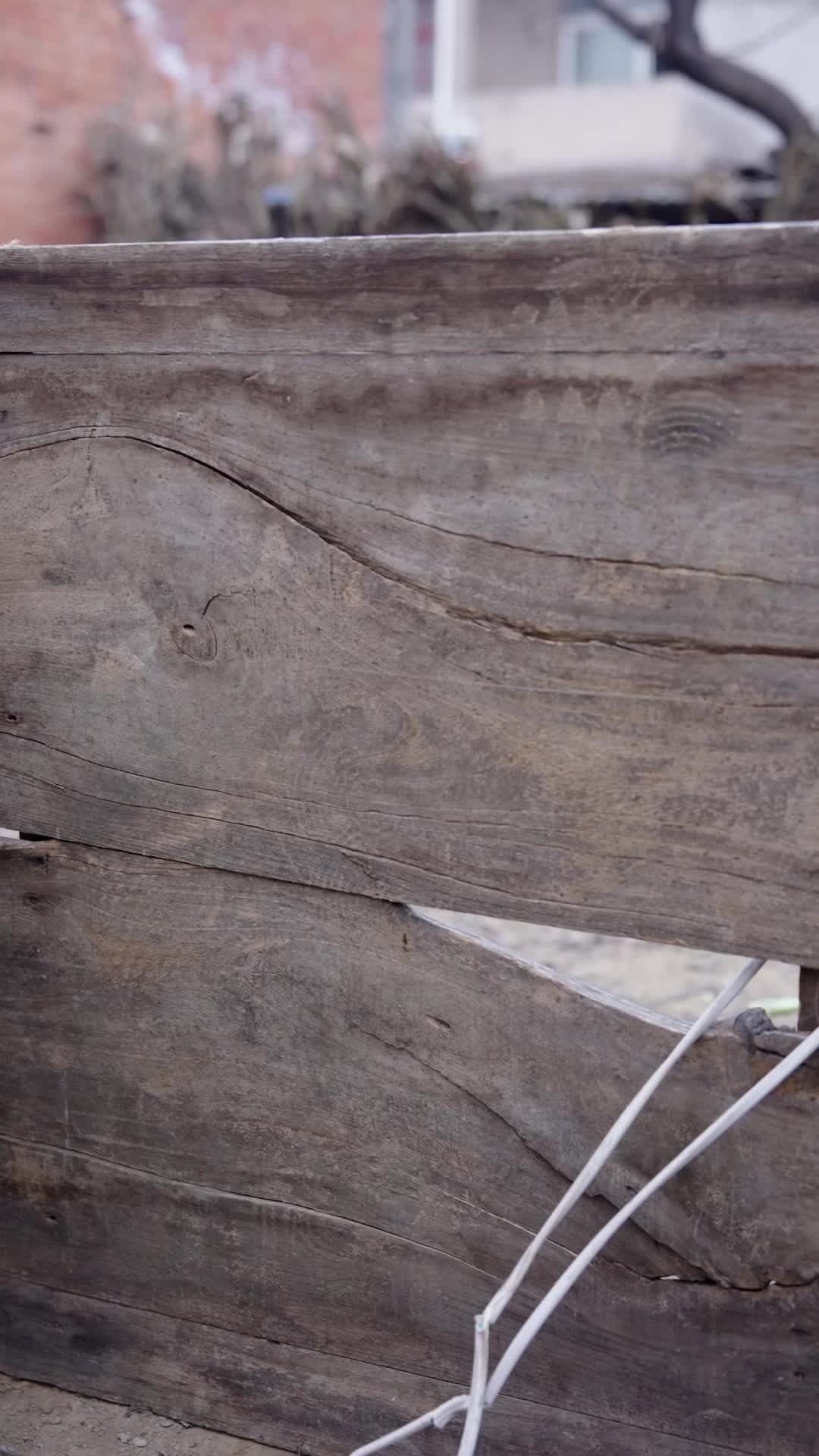 Episode 1 - You Took Me, Now I End You